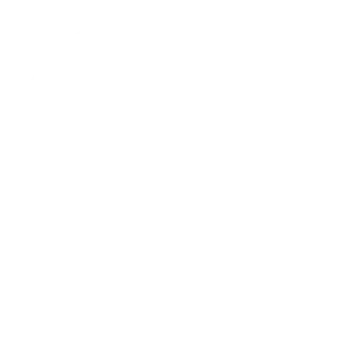euro